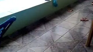 21022009015