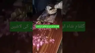 Waqas Shah - Gulfam Shah Gang police muqabla - Peer Group 237