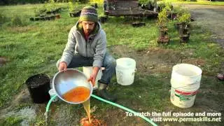 Permaculture Skills: Seed Stratification - Trevor Newman