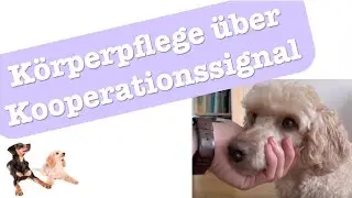 unter der trainingstechnologischen Lupe: Körperpflegetraining über Kooperationssignal