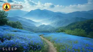 🔴 Zen Sleep Music for Deep Sleeping 24/7: Peaceful Music, Sleep Relaxation Music | Sleep Meditation