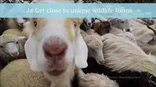 5 top travel trends in 2018