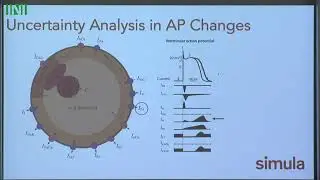 FHTW01 | Dr. Samuel Wall | Uncertainty Quantification in the Parameterization of Cardiac Models