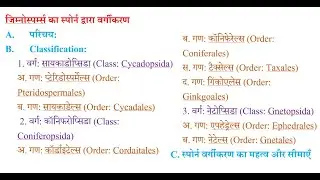Classification of Gymnosperms by Sporne (1965) | स्पोर्ने द्वारा जिम्नोस्पर्म का वर्गीकरण (1965)
