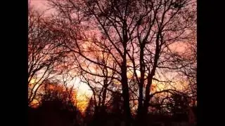 Auran Tripp - After Life