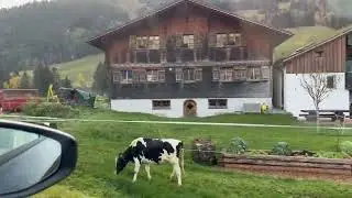 Swiss Panoramic Road Tour: Driving Through Paradise