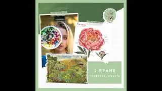 126. Science Illustration, AI Cardinals, and Frozen Asters w/ J. Spahr