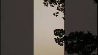 Feeding Wild Eagles music instrumental 