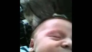 Cat licking baby