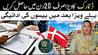 How To Apply Denmark Work Visa | Visit Visa ........................job hunting in Denmark