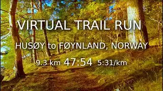 Virtual Trail Run - Husøy to Føynland Norway - Bright morning sunshine - Autumn - Forest - Treadmill