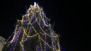 Tree Lighting in Occidental CA December 4, 2025