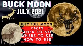 What happens on BUCK MOON - July Full Moon 2021 |  How to see Buck Moon 2021