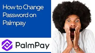 How to Change Password on Palmpay