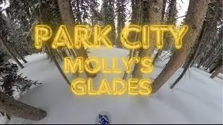 Molly's Glades l Park City l Snowboarding Trees and Fresh Powder