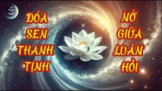 ĐÓA SEN THANH TỊNH NỞ GIỮA LUÂN HỒI – Hành Trình Từ Khổ Đau Đến Giác Ngộ | Nhạc Phật Pháp An Lành