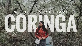 India&rsquo;s 3rd Largest Mangrove Forest 🌳 | CORINGA Wildlife Sanctuary, Kakinada