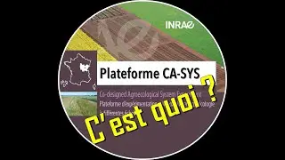 Plateforme CA-SYS : Tester l'agro&eacute;cologie &agrave; grande &eacute;chelle (INRAE)