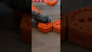 How to make crypto cute ?