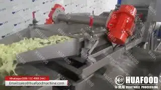 Cabbage Salad Cleaning Processing Plant
