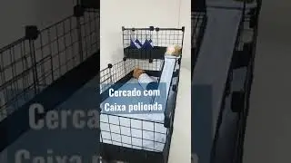 Um cercadinho com andares, soft, polionda e toca... Perfeito!!!😍