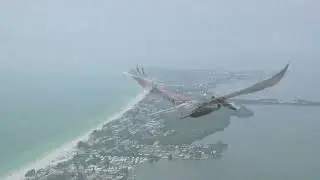 Anna Maria Island by air - In Memory of Danny 