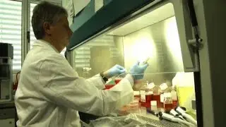 Epatite C, verso l'eradicazione con i nuovi farmaci