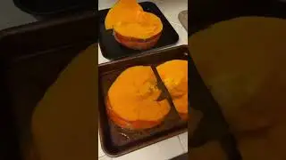 Cooking pumpkin for my dogs.   This was my first time cooking pumpkin. I&rsquo;ve fed them fresh pump