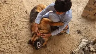 Ola Ki Mastian