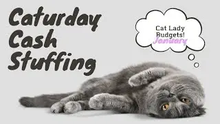 Cash stuffing 4th week of January | Caturday scratch off 