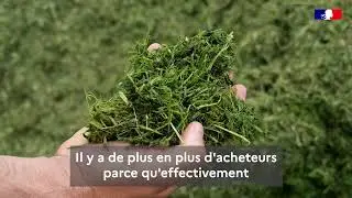 Protéi-NA - Production de luzerne déshydratée par la coopérative Grasasa