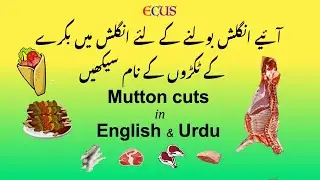 Learn cuts of Mutton in Urdu & English- بکرے کے گوشت کے ٹکڑوں کے نام  بولنے کی مشق کریں