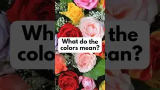 Meaning of Rose Colors!