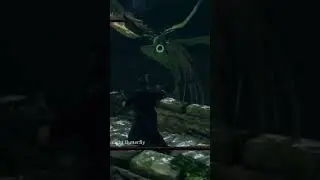 Moonlight Ultra Instinct #darksouls #comedy #dragonball #gaming