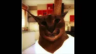 BoJack 𝕱𝖑𝖔𝖕man #floppa #caracal #meme #chill #hecker