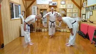 Seidokan Saturday 119, 6th kyu Green belt - Seidokan yakusoku goban/#5