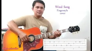 wind song fingerstyle cover