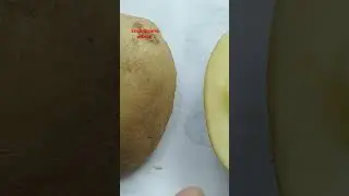 diy potato stamp🥔🥔#diy #satisfying #viral #shorts
