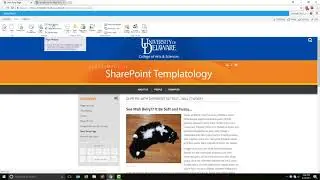 Page Version History