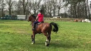 Vinnie14/4/18