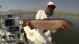 Fun in the Sun Fly Fishing