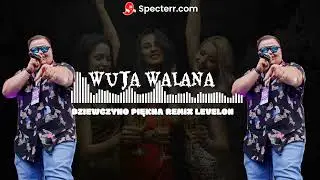 Dziewczyno piękna - WujaWalana ( Levelon remix )