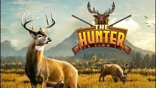 Sheep and Deer shooting game | Deer Hunting 2018