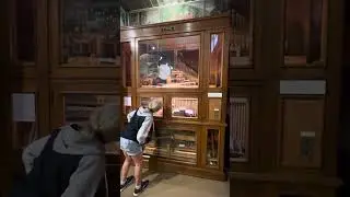 Triberg Black Forest Museum