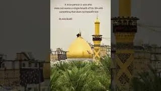 #LiveLikeAli