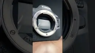 Canon eos r6 mark 2 burst