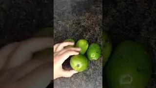 🥭 panna || simple tasty tangy drink|| #heathy #simple #easy #quick #ytshorts #drink #indiancuisine