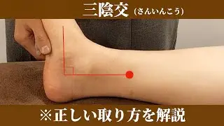 【鍼灸師が解説】三陰交の正しい取り方／ポイントは３つです