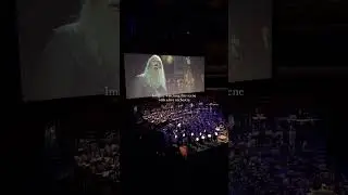 Harry Potter live orchestra at Royal Albert Hall😍 #harrypotter  #royalalberthall #orchestra