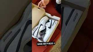 Dakota Skating the Nike SB P-Rod 1